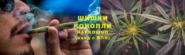 шишки Мегион