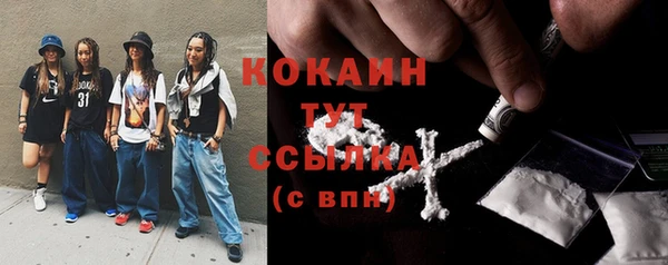 прущие грибы Кострома