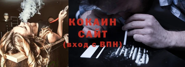 шишки Мегион