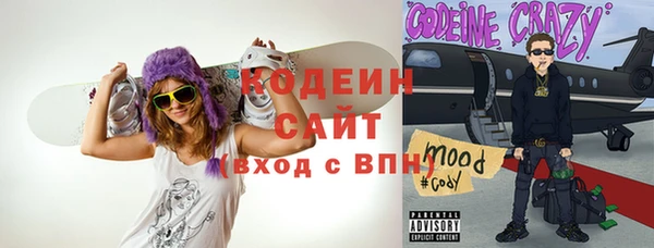 ПСИЛОЦИБИНОВЫЕ ГРИБЫ Михайлов