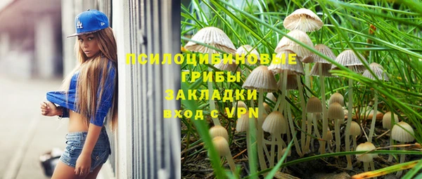 мдпв Медногорск