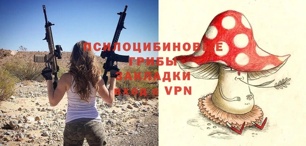 мдпв Медногорск