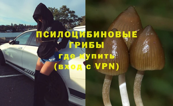 мдпв Медногорск